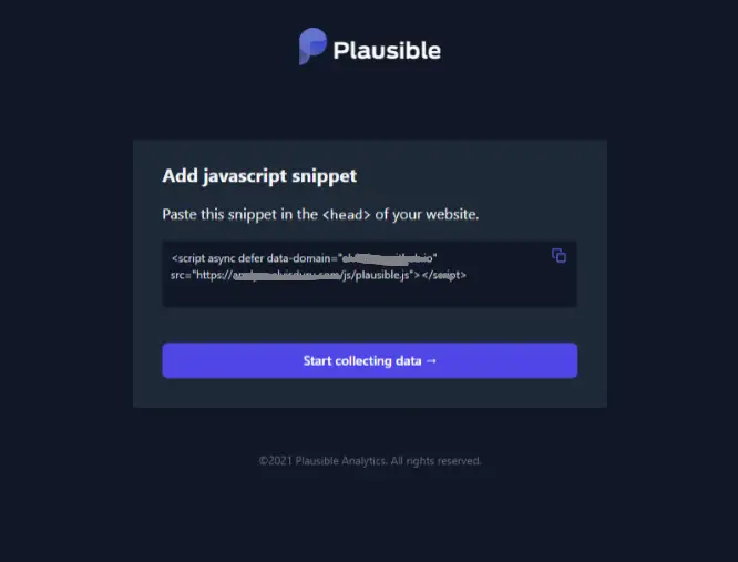 Plausible Add Snippet screen